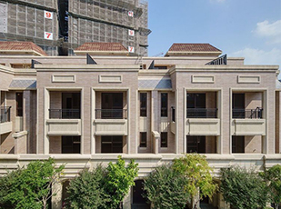 太平區 微笑莊園-麗舍區